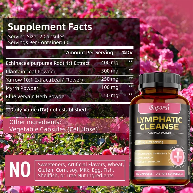 Лимфатическая очищающая добавк – обзор и цена Health And Wellness Promotion